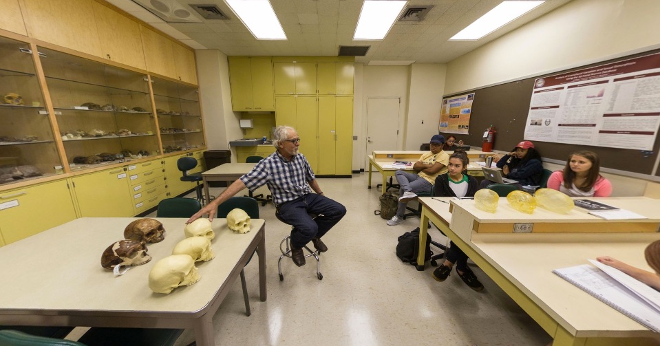 The Anatomy Of The Anthropology Department That
